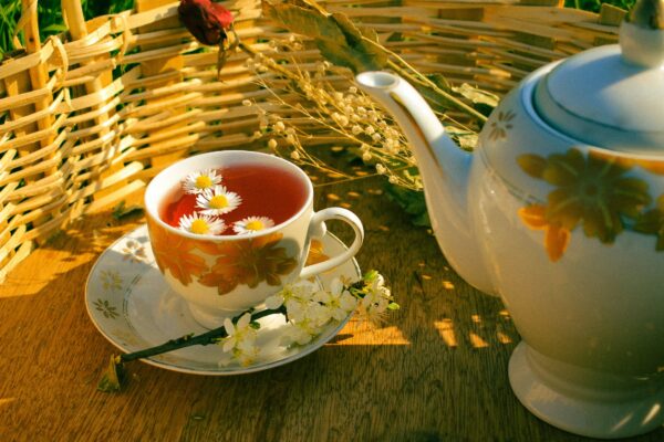 Trà hoa cúc uống vào thời điểm nào là tốt nhất