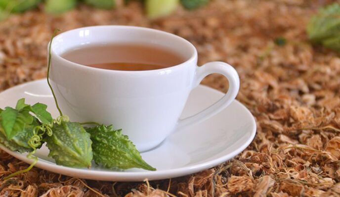 Thông tin hữu ích của trà khổ qua rừng