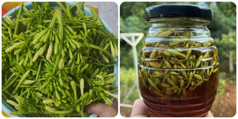 Lưu ý khi ngâm hoa đu đủ mật ong tránh bị chua