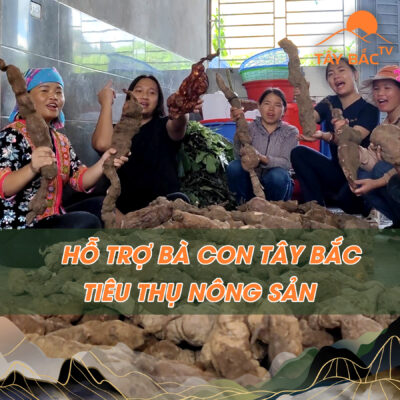 Hà thủ ô có phải là một loại dược liệu đắt đỏ?