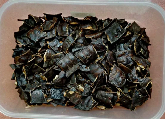 Quả bồ kết khô có tác dụng gì