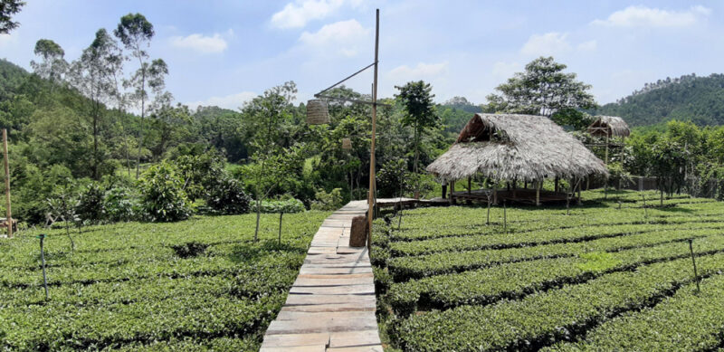 Siêu hot với những điểm du lịch Yên Thế Bắc Giang