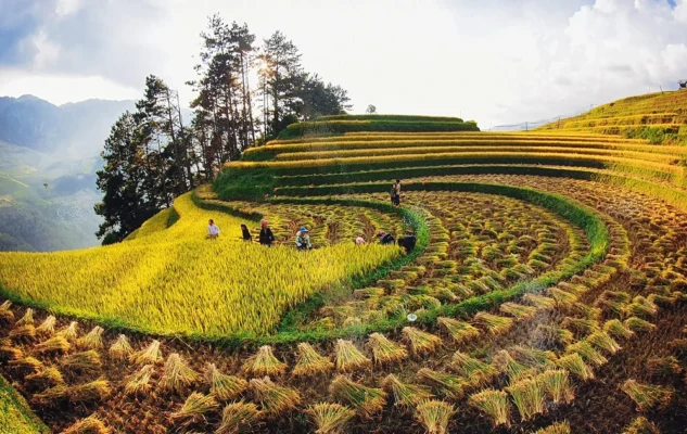 Du lịch tháng 7 ở Tây Bắc