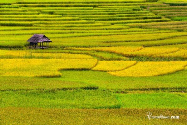 Khám phá vẻ đẹp Yên Bái