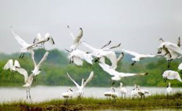 Du lịch vườn Quốc gia Xuân Thủy