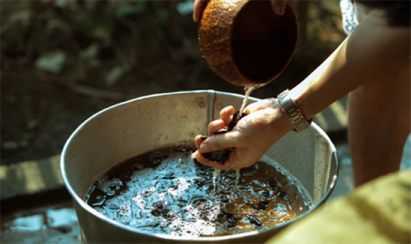 Cách gội đầu bằng quả bồ kết trị rụng tóc