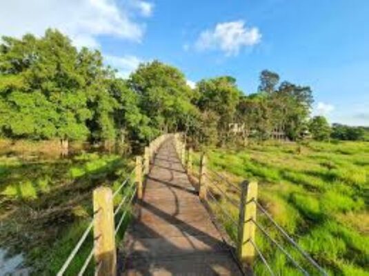 Khu du lịch sinh thái Vườn Quốc gia Cát Tiên