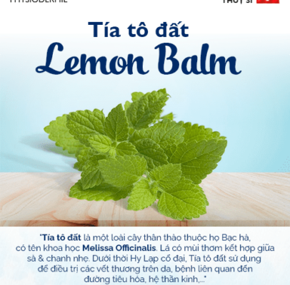 Cây Tía tô đất là gì?