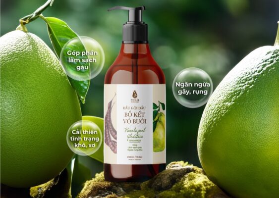 Gội đầu bằng bồ kết và vỏ bưởi