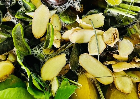 Gội đầu bằng bồ kết sả chanh có tốt không