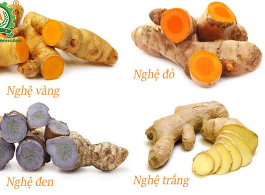 Hình ảnh củ nghệ vàng
