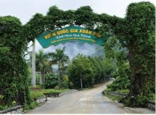 Khu bảo tồn thiên nhiên Xuân Thủy