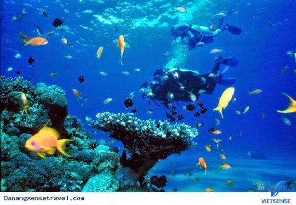 Kinh nghiệm du lịch đảo Tuần Châu cho người mới bắt đầu