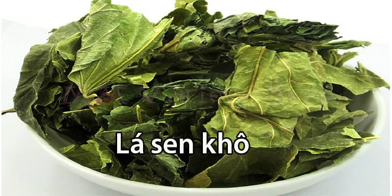 Những tác dụng của lá sen khô mà bạn chưa biết