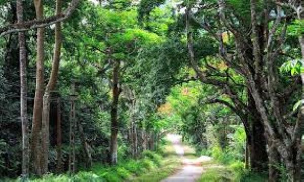 Những khu du lịch sinh thái nổi tiếng ở phía Bắc