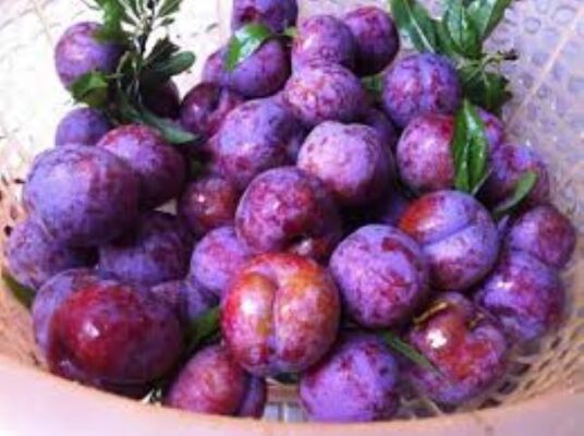 Bật mí các món ngon Lạng Sơn