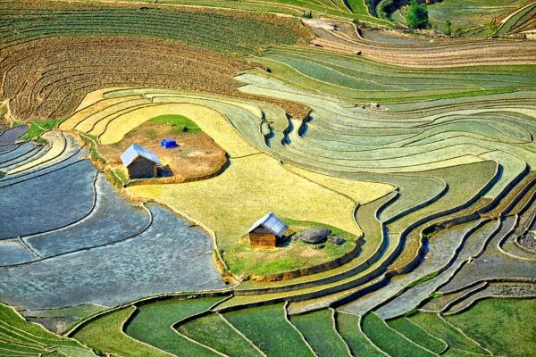 Ruộng bậc thang Sapa