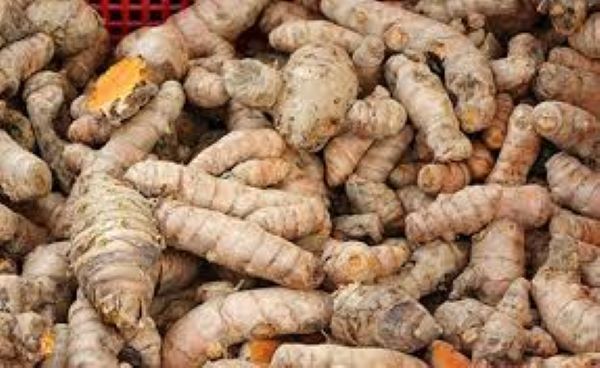 Củ nghệ vàng trị bệnh gì?