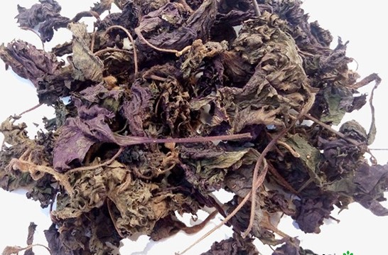 Tía tô khô và lợi ích cho sức khỏe