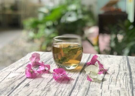 Trà Tía tô có tác dụng gì?