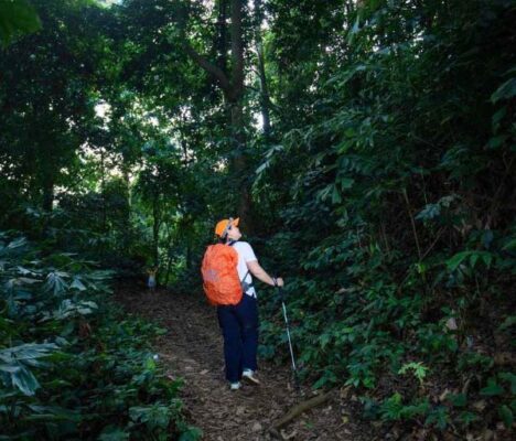 Trải nghiệm du lịch sinh thái tại Vườn Quốc gia Cúc Phương