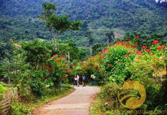 Trải nghiệm hệ sinh thái vườn quốc gia Xuân Sơn