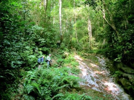 Vườn Quốc gia Xuân Sơn