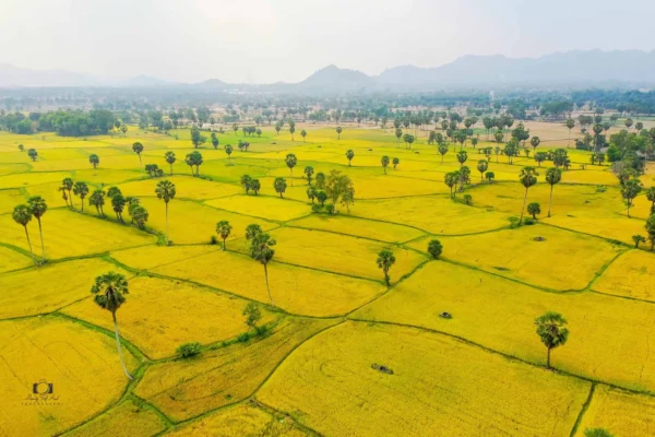 Tour du lịch thành phố Hồ Chí Minh đi Tây Bắc