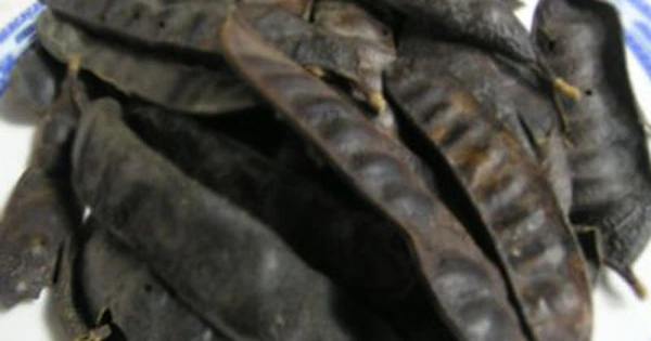 Công dụng của trái Bồ kết với mái tóc