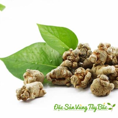 Trào ngược dạ dày có nên uống tam thất