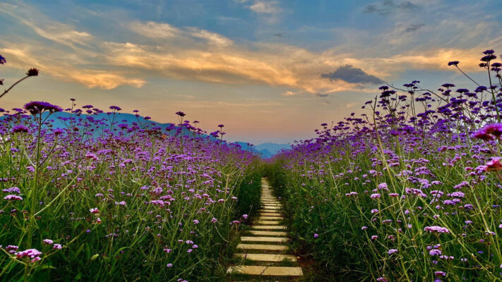 Nghỉ lễ 30/4 và 1/5 nên đi đâu