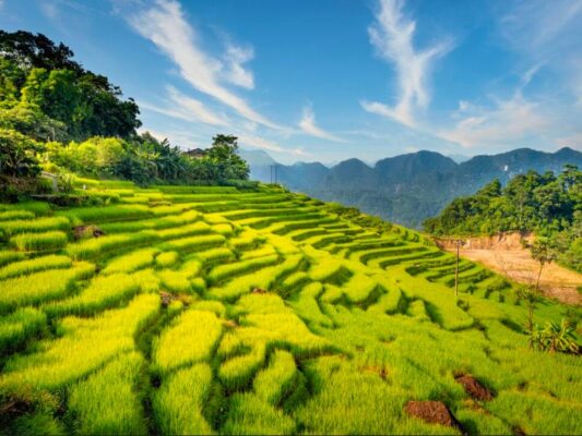 Bỏ túi những cung đường Trekking đẹp nhất Việt Nam