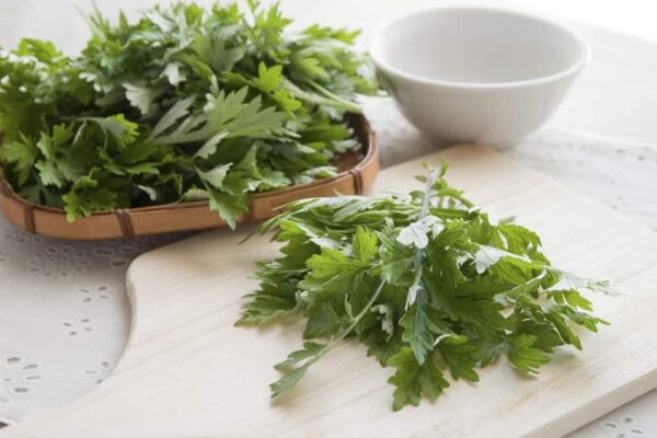 Xông ngải cứu - Lợi ích và cách sử dụng đúng cách