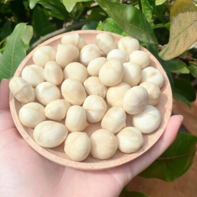 Giá trị dinh dưỡng của hạt macca bạn biết chưa