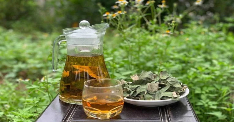 Công dụng khi uống nước lá sen khô