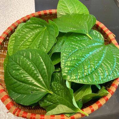 Bệnh phong tê thấp và cách điều trị bằng lá lốt