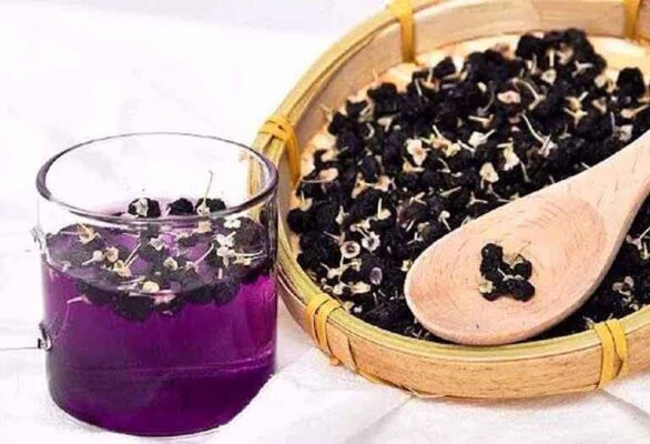 Tìm hiểu về Hắc kỷ tử và những công dụng