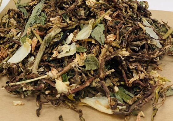 Tìm hiểu về trà sơn mật hồng sâm
