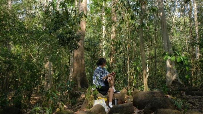 Khám phá vẻ đẹp nguyên sơ của Vườn quốc gia Cát Tiên