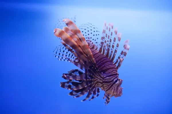 Khám phá các bảo tàng ở Đà Nẵng