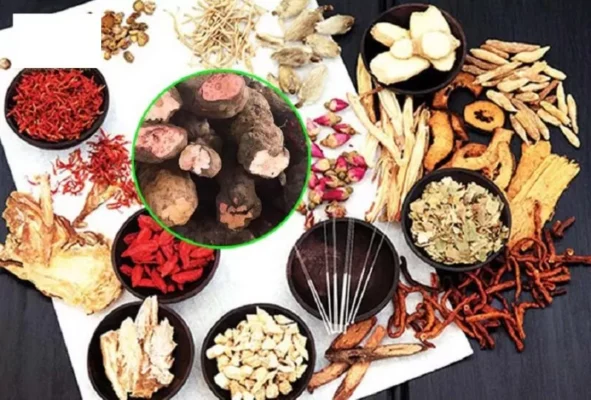 Uống hà thủ ô có nóng không