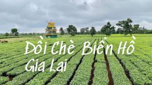 Biển Hồ Chè