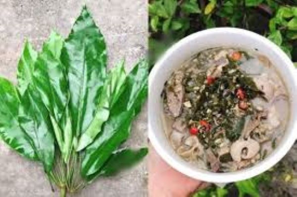 Món ăn hấp dẫn tại Thanh Hóa