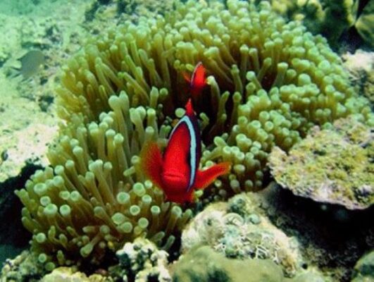 Du lịch Quy Nhơn 2024