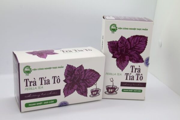 Tác dụng của trà tía tô có thể bạn chưa biết