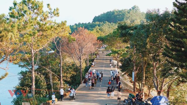 Khám phá Biển Hồ Gia Lai