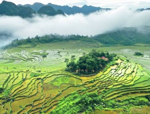 Khu bảo tồn thiên nhiên Pù Luông ở đâu?