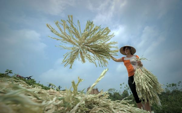 Kinh nghiệm tham quan Cố đô Huế