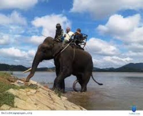 Nét văn hóa của người Ê Đê ở Làng Voi Nhơn Hòa