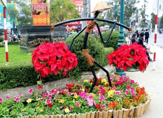 Lễ hội hoa ở Đà Lạt